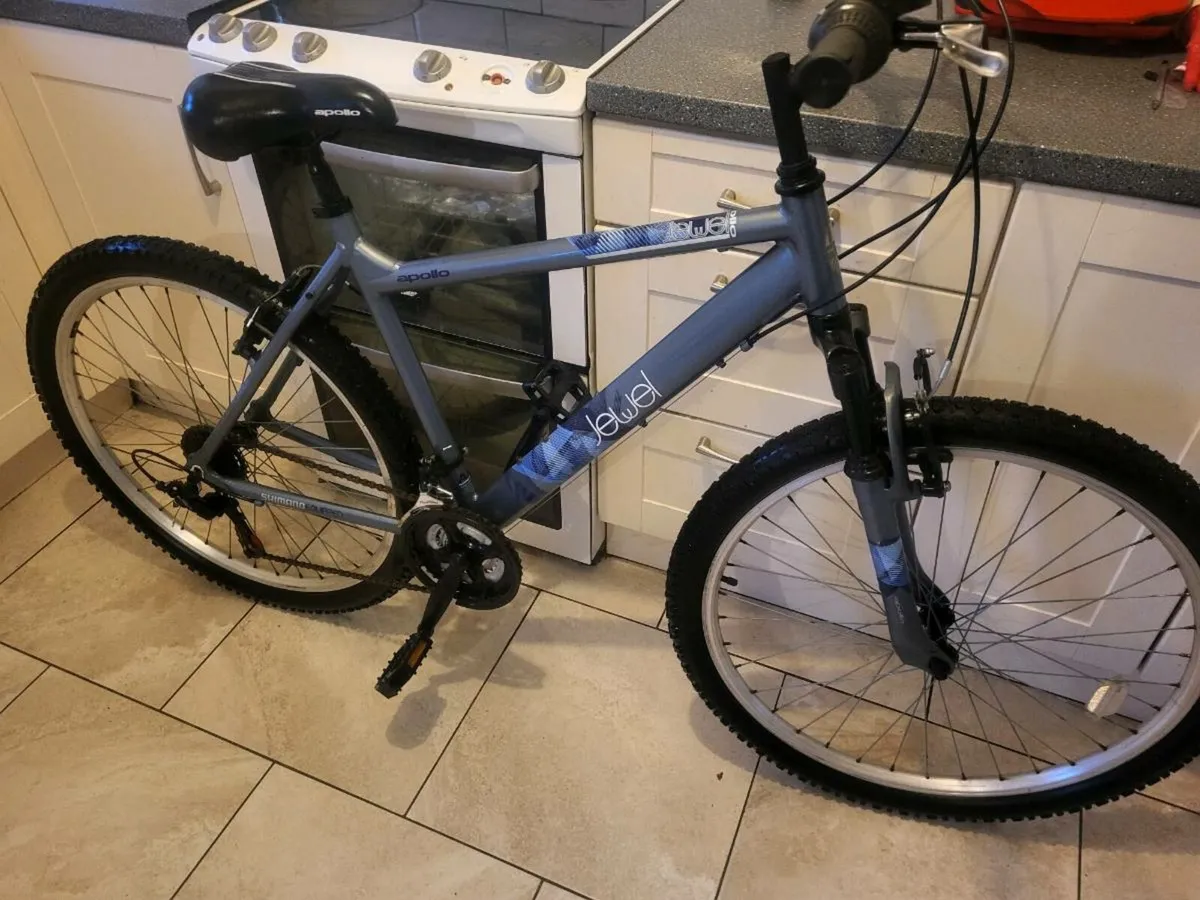 Mountain bike - Image 1