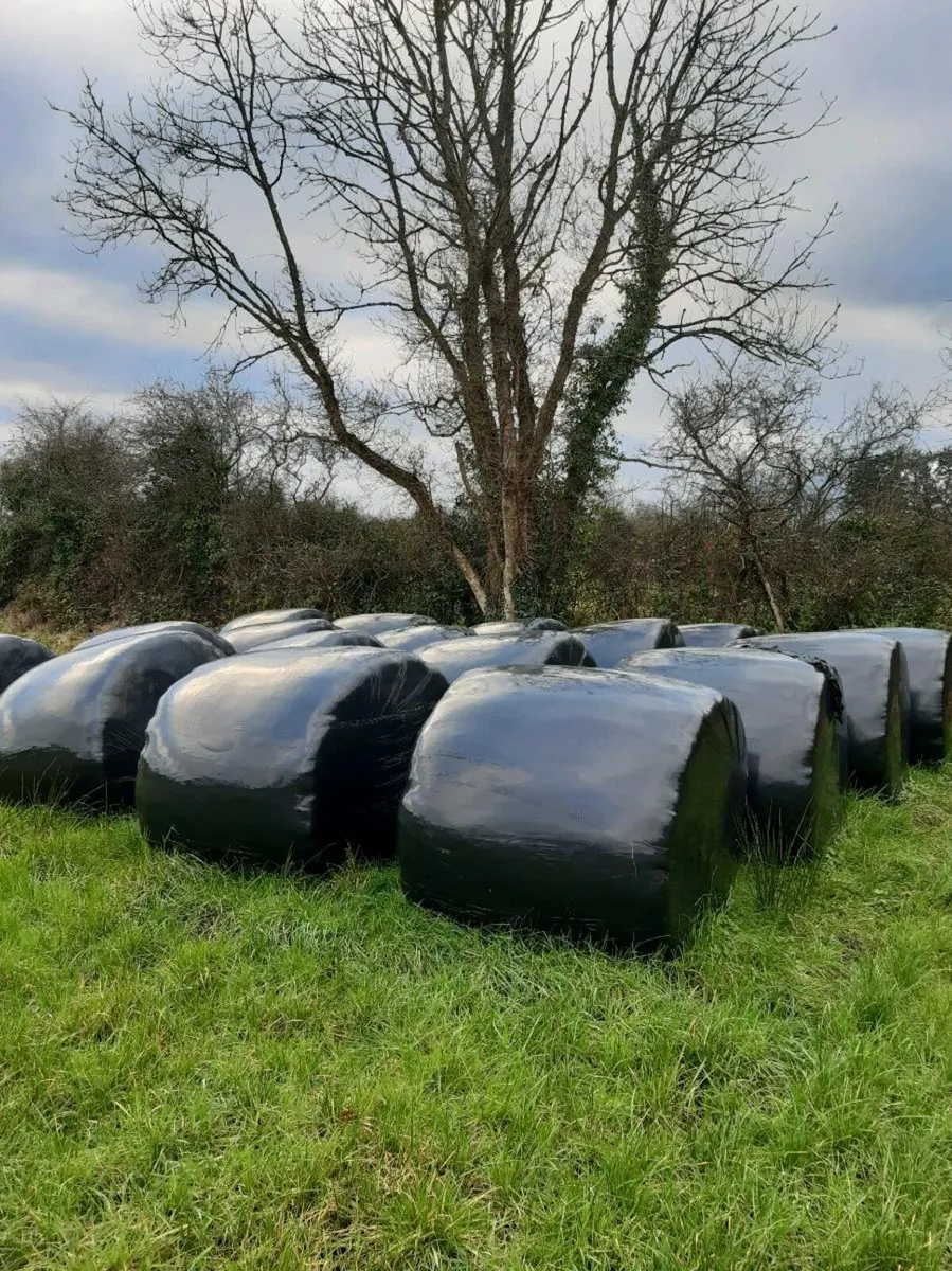 Round bales silage