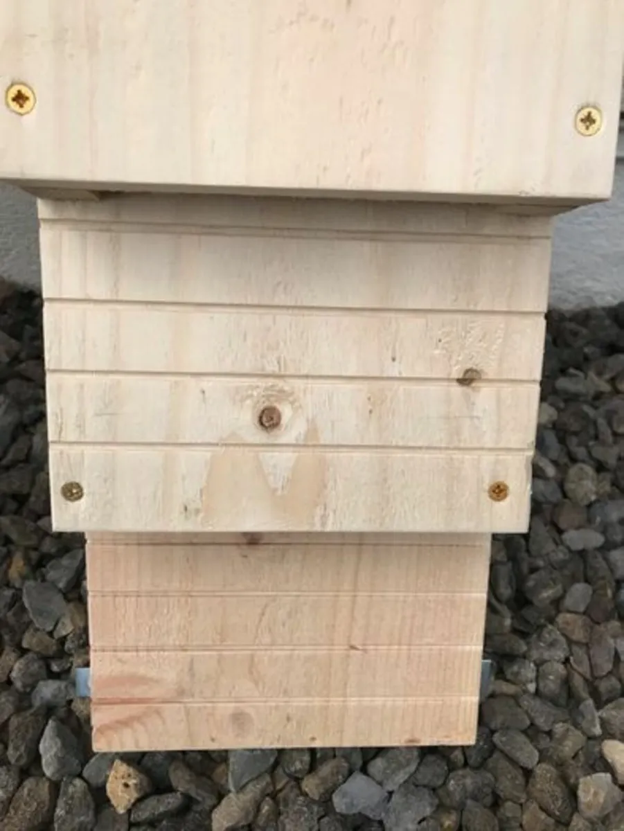 Bat boxes - Image 3