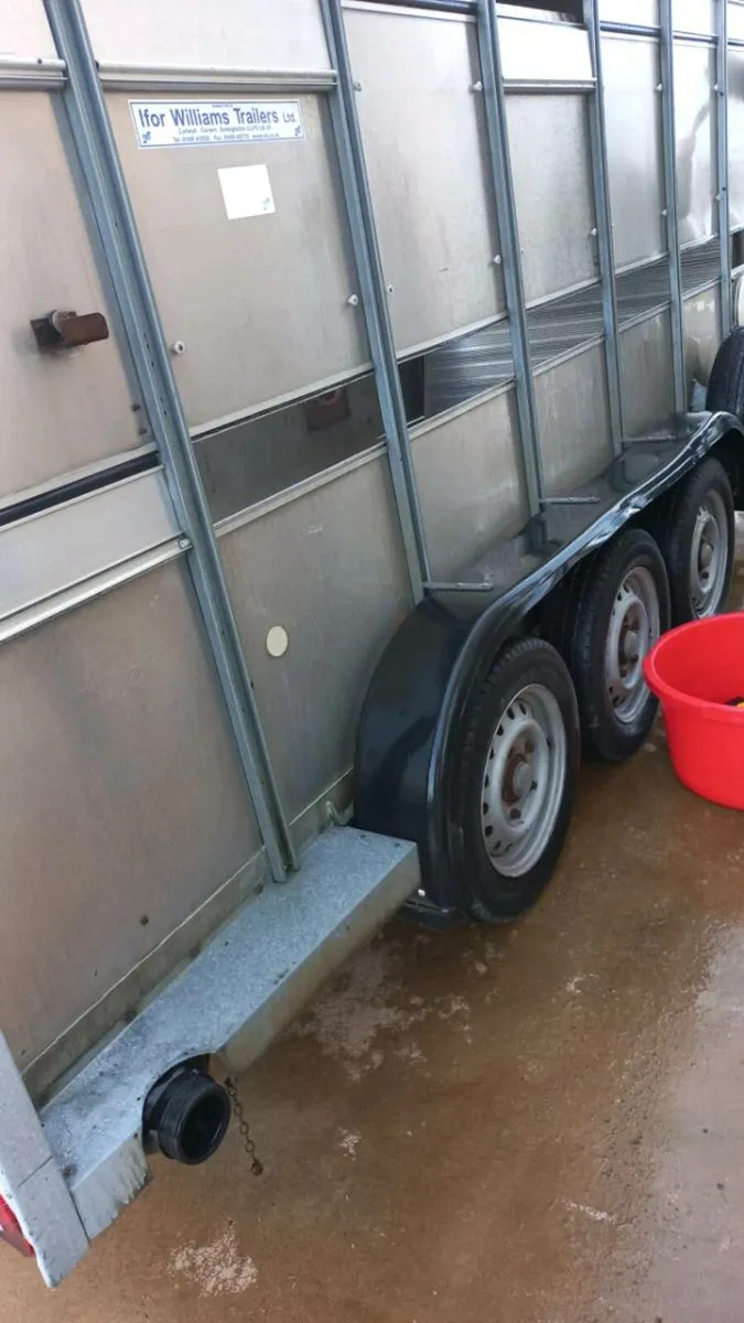 Ifor williams 14ft cattle trailer - Image 3