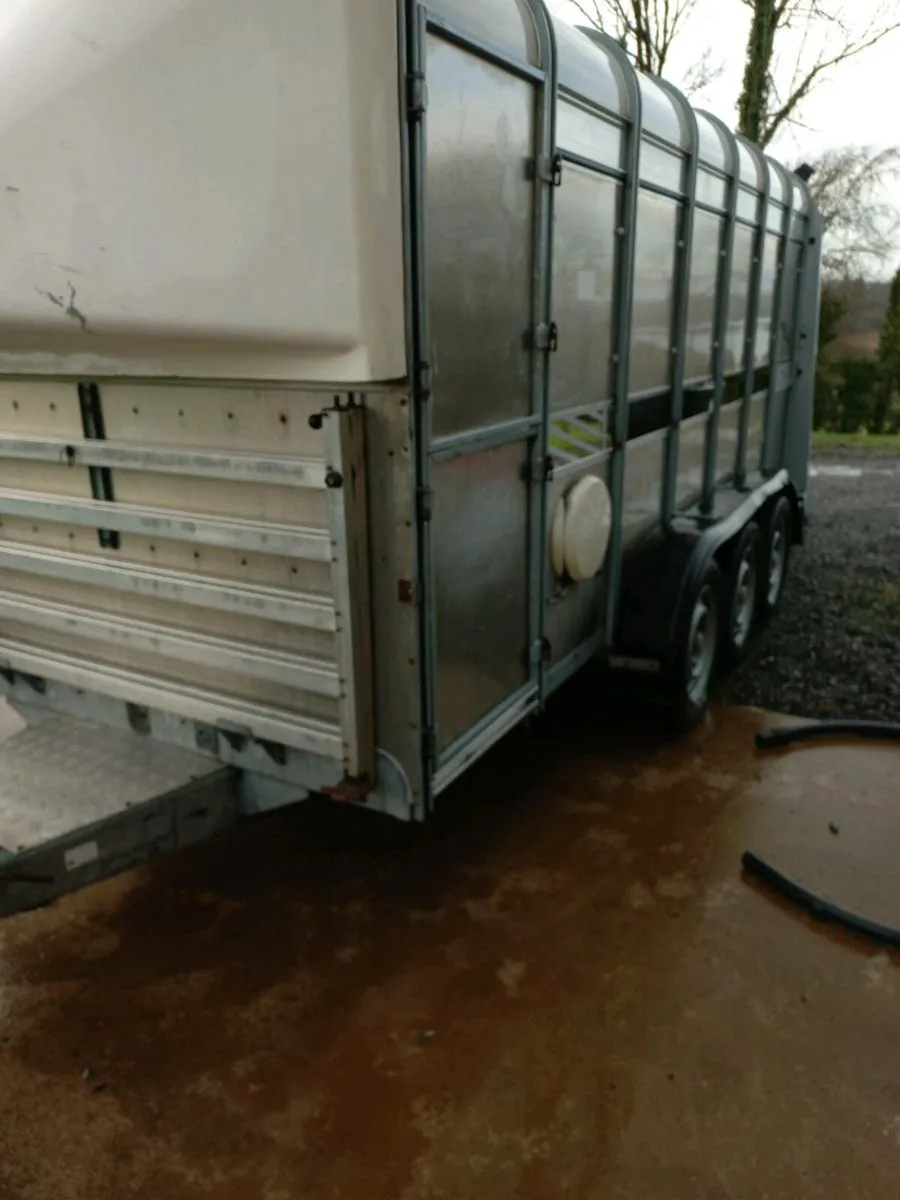Ifor williams 14ft cattle trailer - Image 4