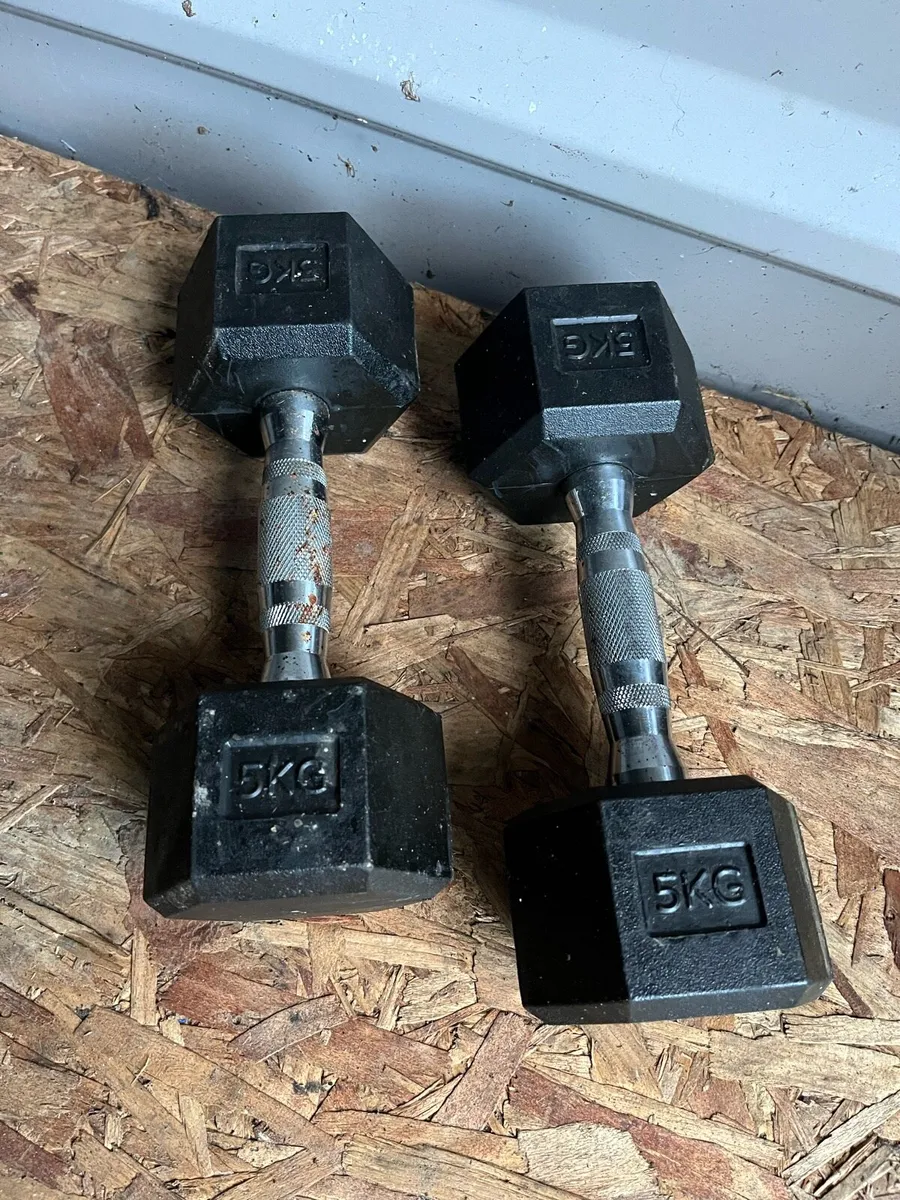 2x5kg & 2x8lb rubber hex dumbbells - Image 2