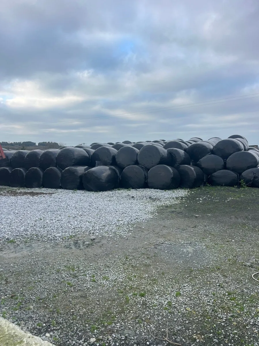 Silage bales