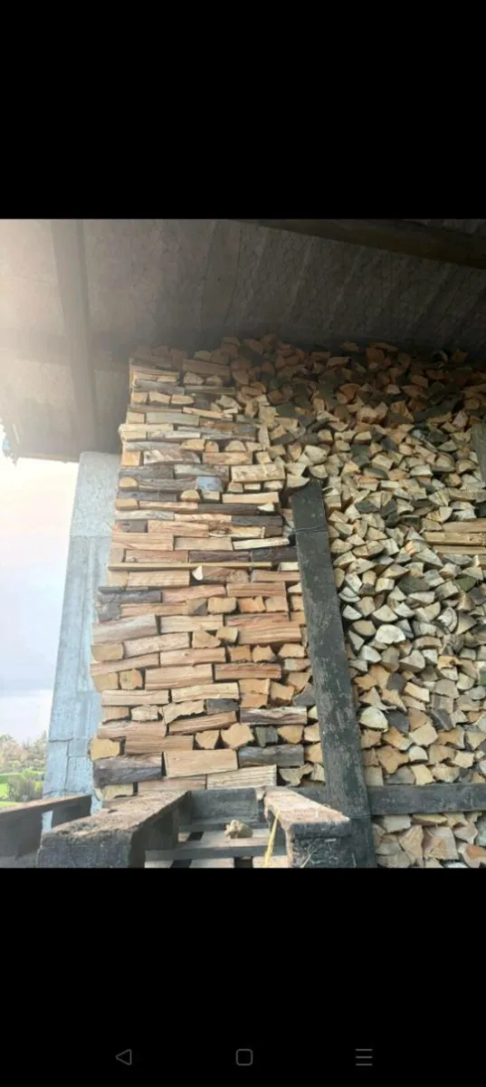 Firewood - Image 2
