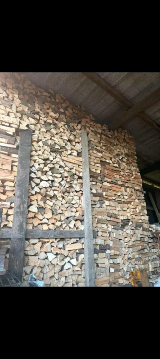 Firewood - Image 4