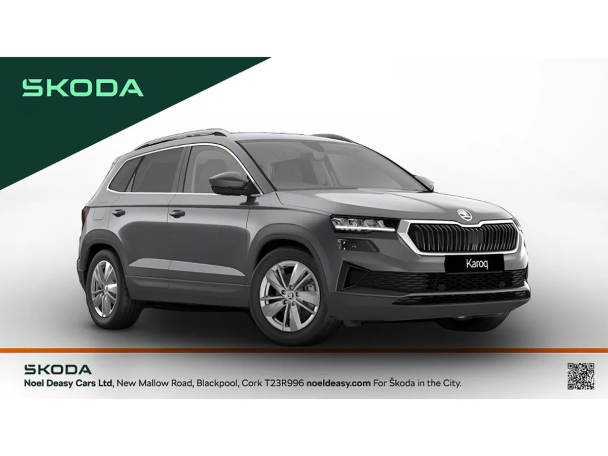 Skoda Karoq Selection - Image 1