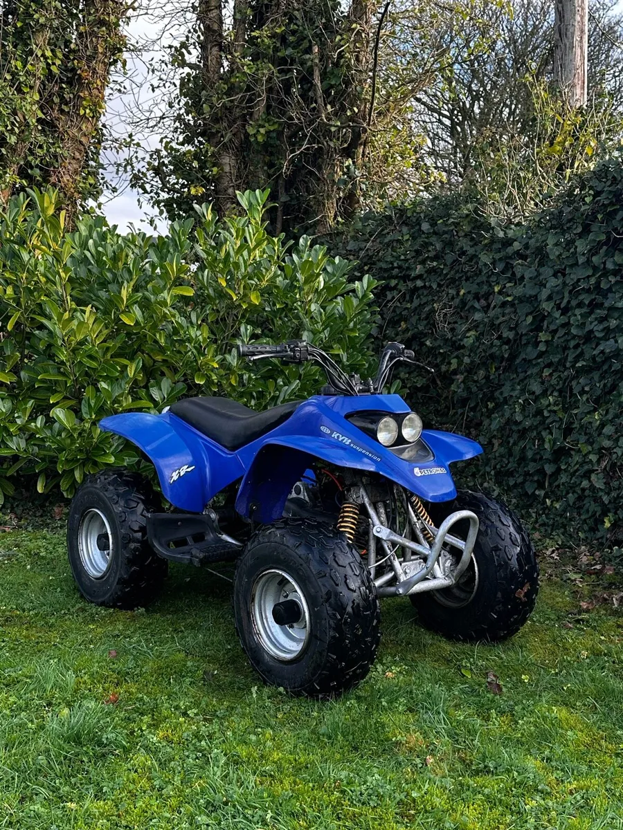 Quadzilla r100 - Image 1