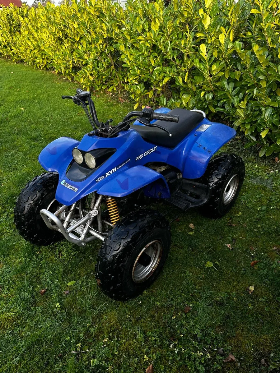 Quadzilla r100 - Image 2