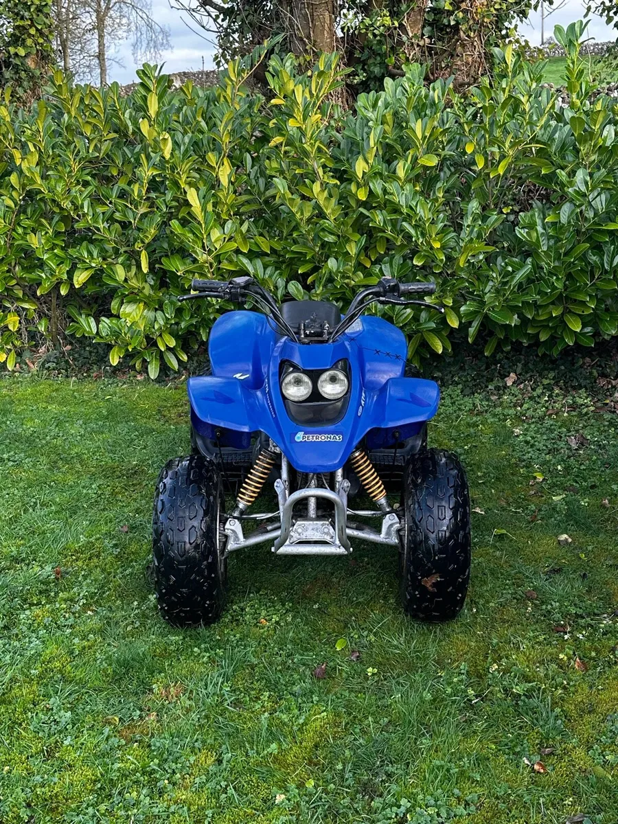 Quadzilla r100 - Image 3
