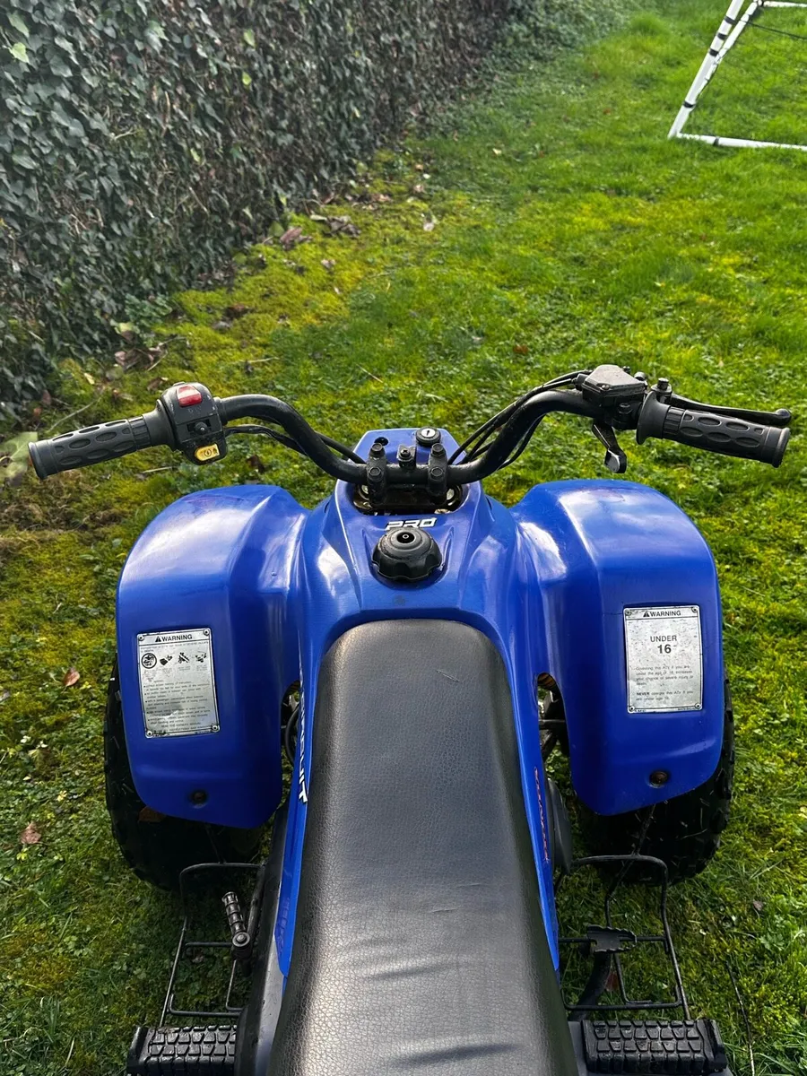 Quadzilla r100 - Image 4
