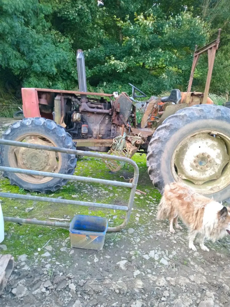 Tractor for sale - Image 3