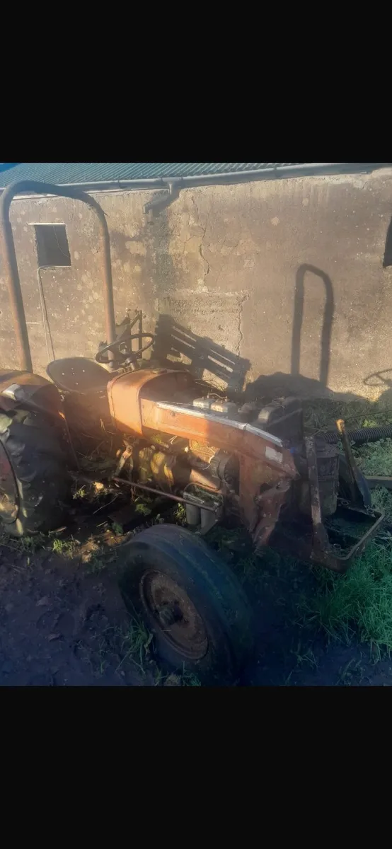 Winter project - Image 3