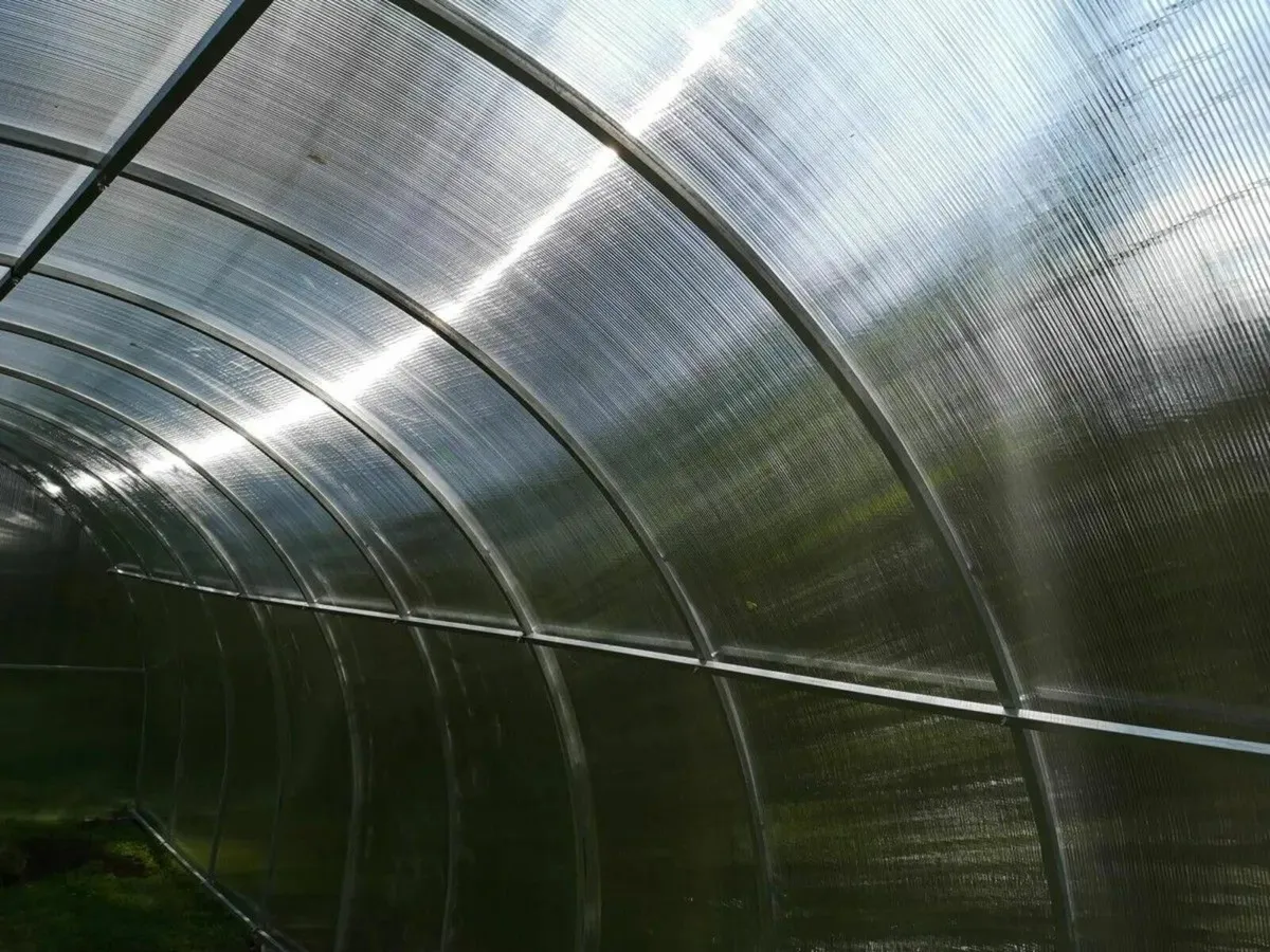 SALE - AG Polycarbonate Greenhouse/Polytunnel - Image 2