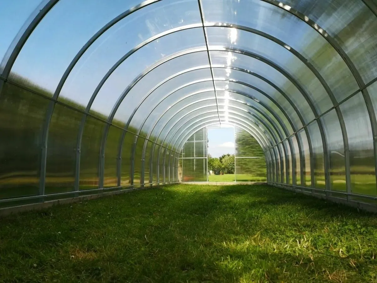 SALE - TITAN 3 Polycarbonate Greenhouse/Polytunnel - Image 2