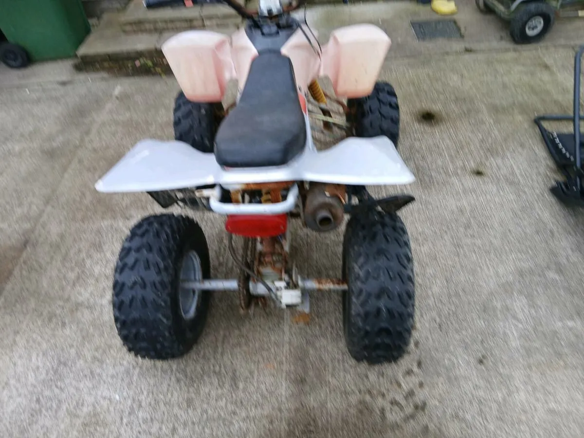 Quad 110cc - Image 3