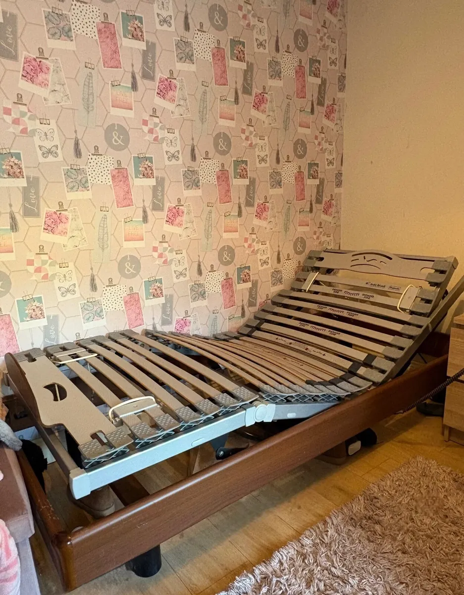 Electric Bed - Image 1