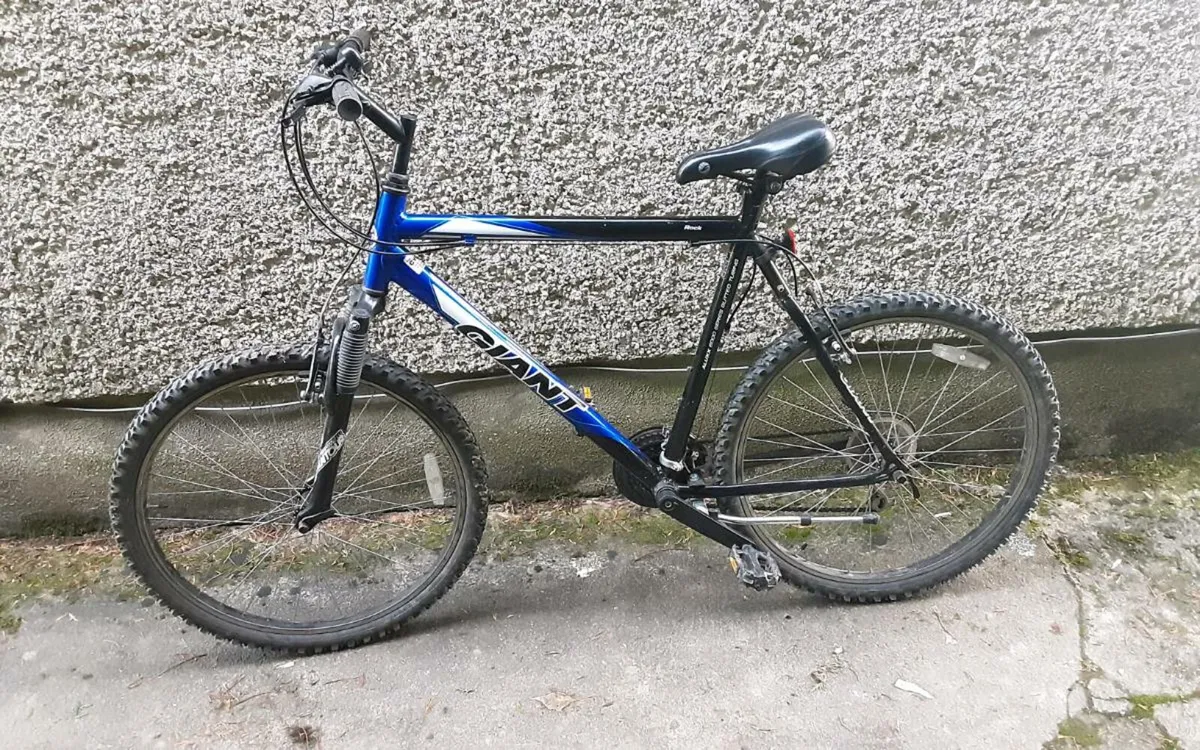 Boys/gents mountain bike - Image 1