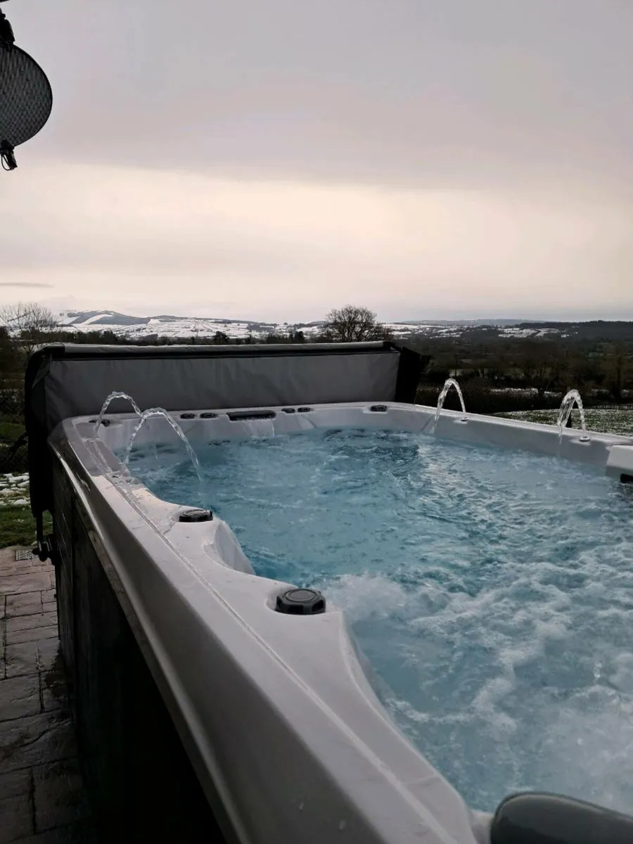 Swimspa - Image 1