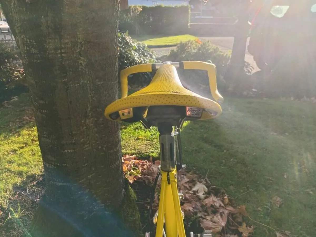 Greg Lemond 55.5cm 10 sp Campy Record - Image 3