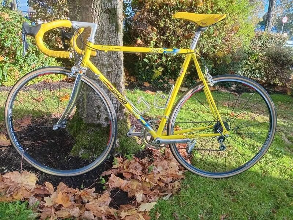 Greg Lemond 55.5cm 10 sp Campy Record - Image 4