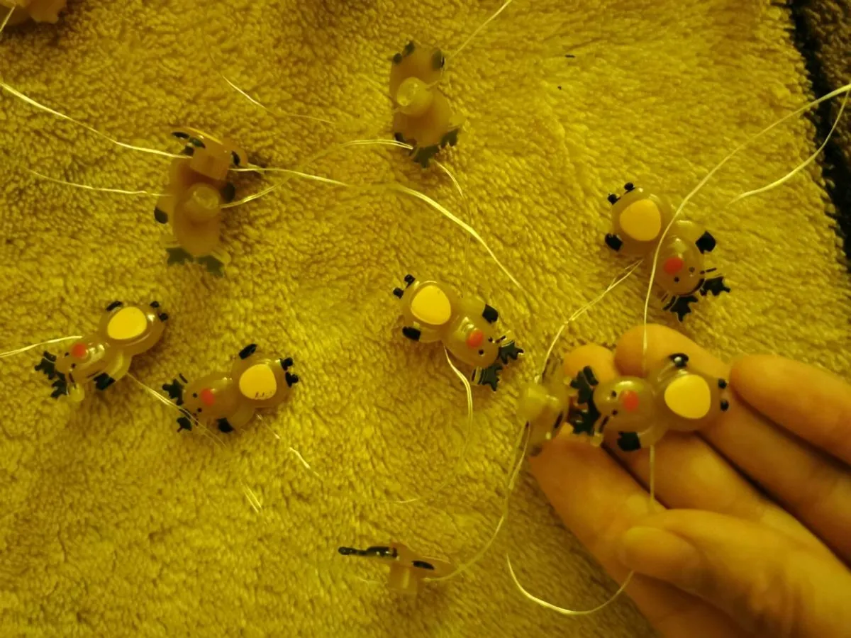 Christmas lights - Image 2