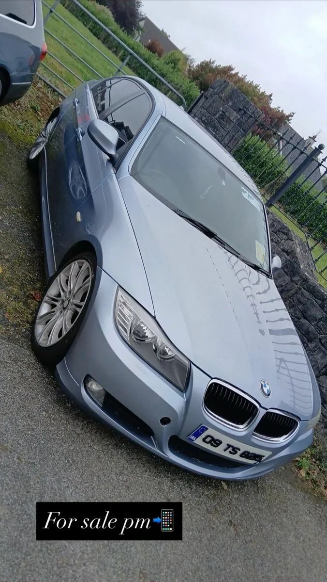 BMW 3-Series 2009 - Image 2