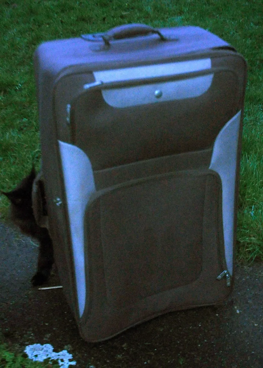 Suitcase - Image 3