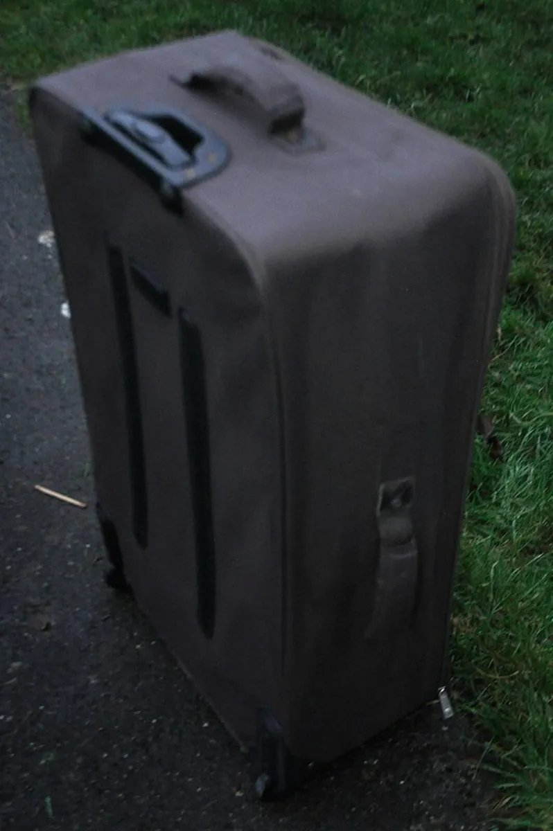 Five Suitcases - Image 1