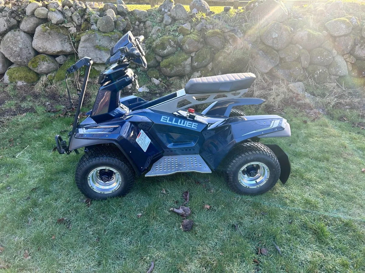 Ellwee electric golf buggy