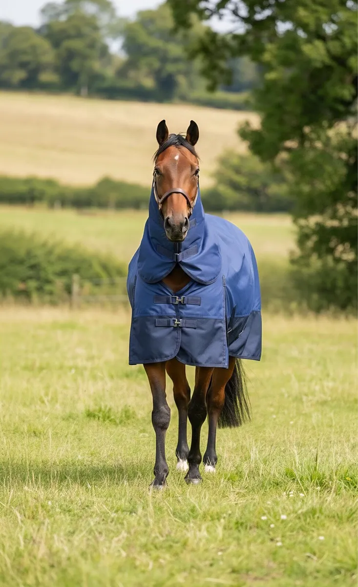 Outdoor rugs - Image 2