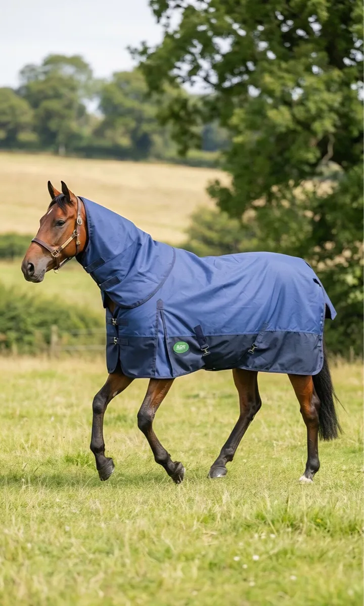 Outdoor rugs - Image 3