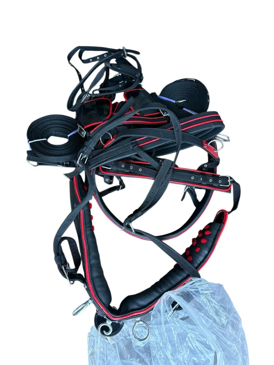 Horse harness - Image 2