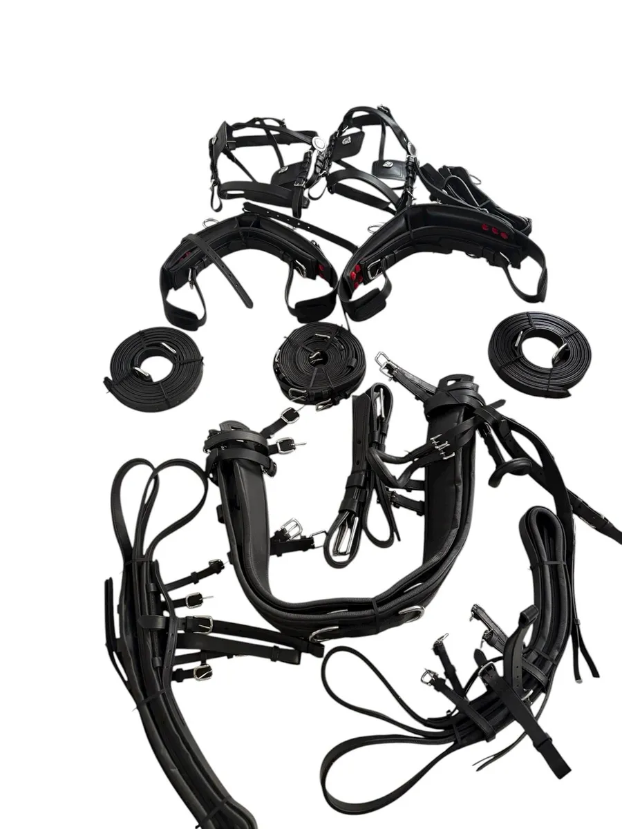 Pair harness - Image 1