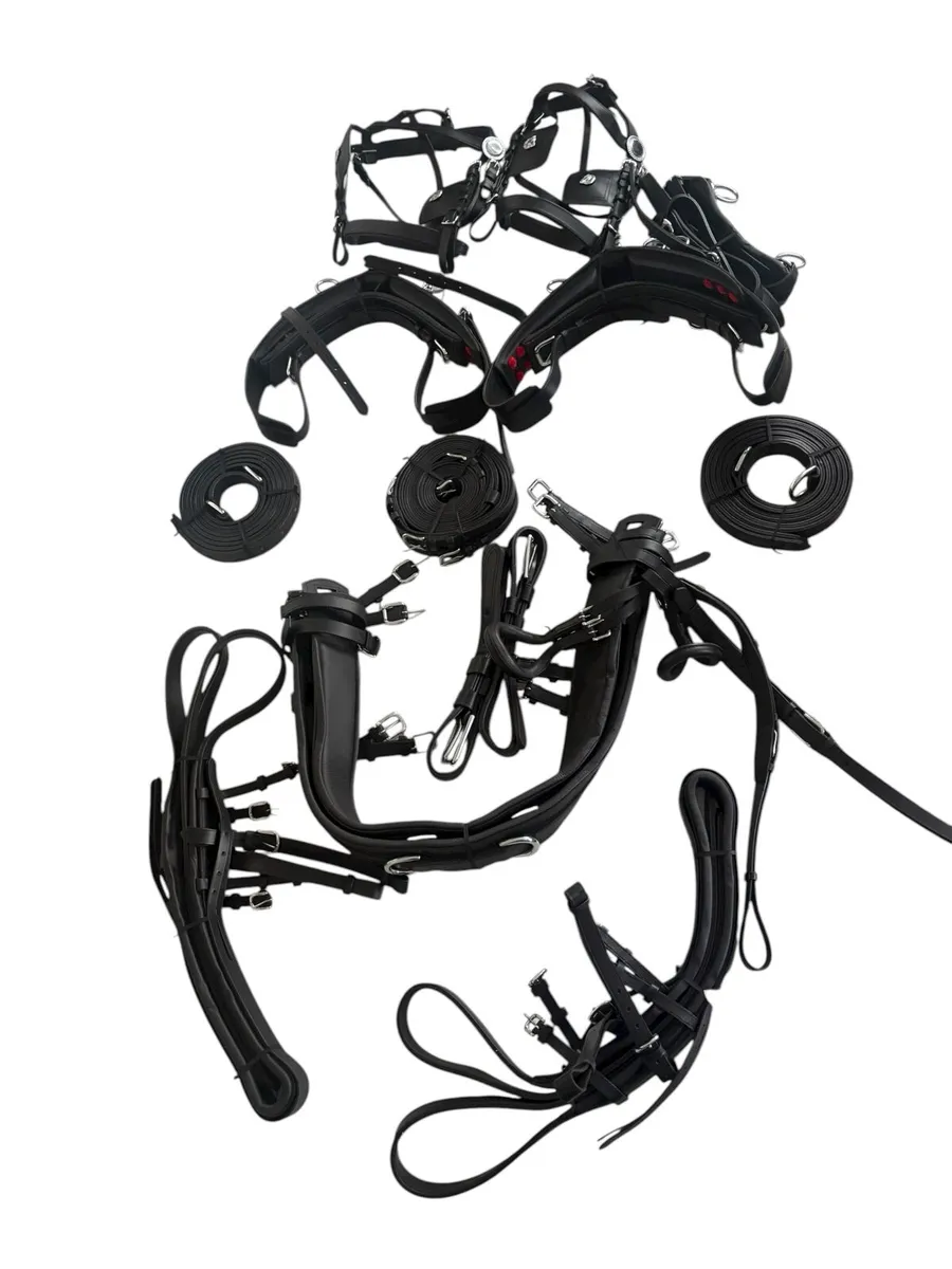 Pair harness - Image 2