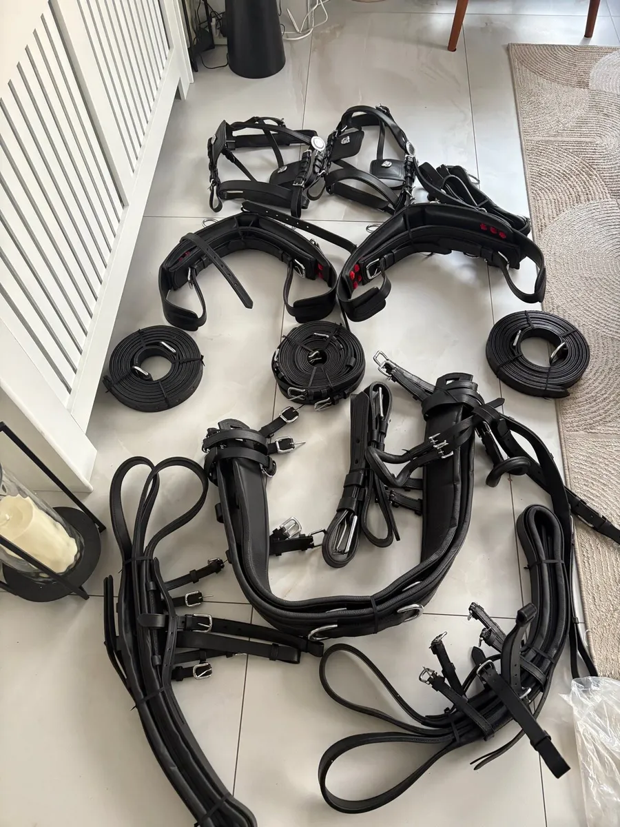 Pair harness - Image 3