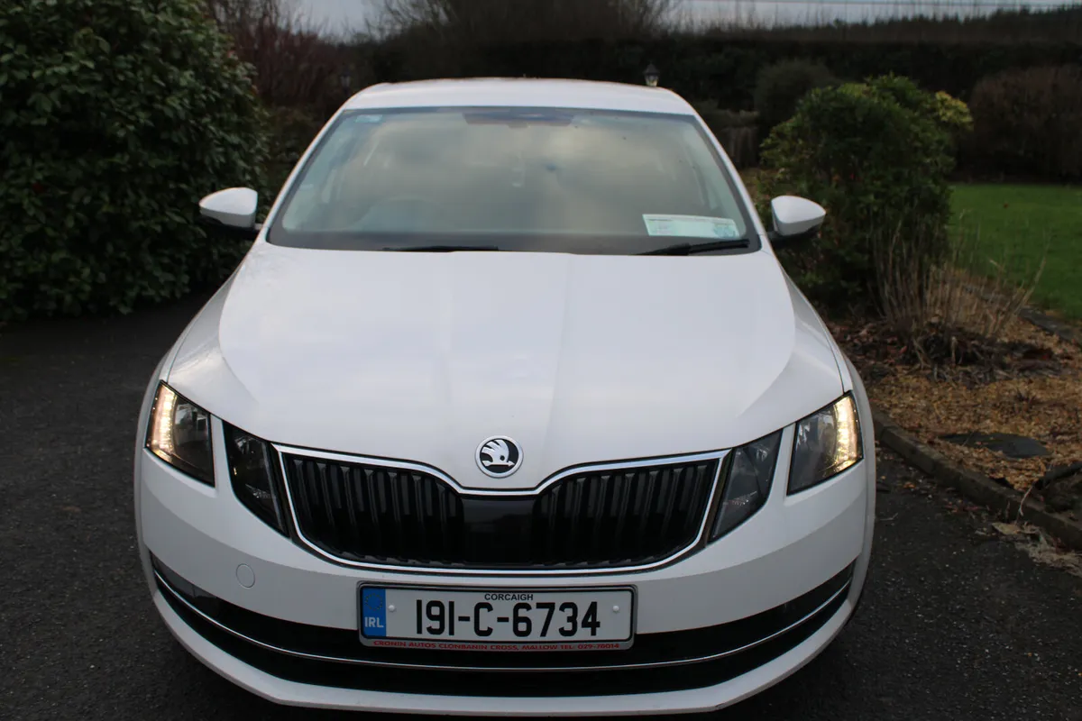 2019 SKODA OCTAVIA  STYLE 1.6 TDI 115 bhp. - Image 2