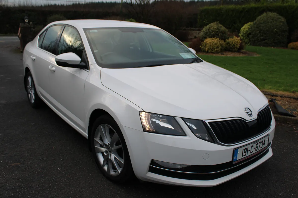 2019 SKODA OCTAVIA  STYLE 1.6 TDI 115 bhp. - Image 1