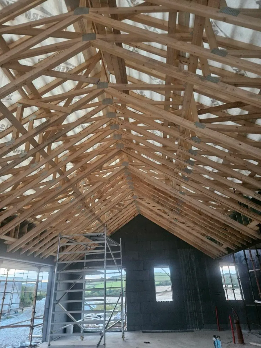 Carpentry Roof & ICF specialist - Image 3