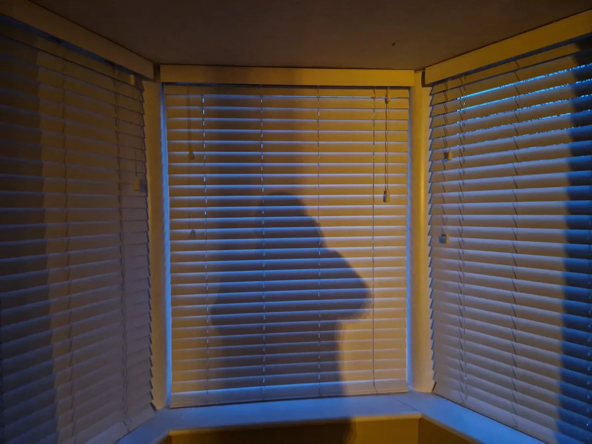 Bay window with custom blinds and steel frame - Image 2