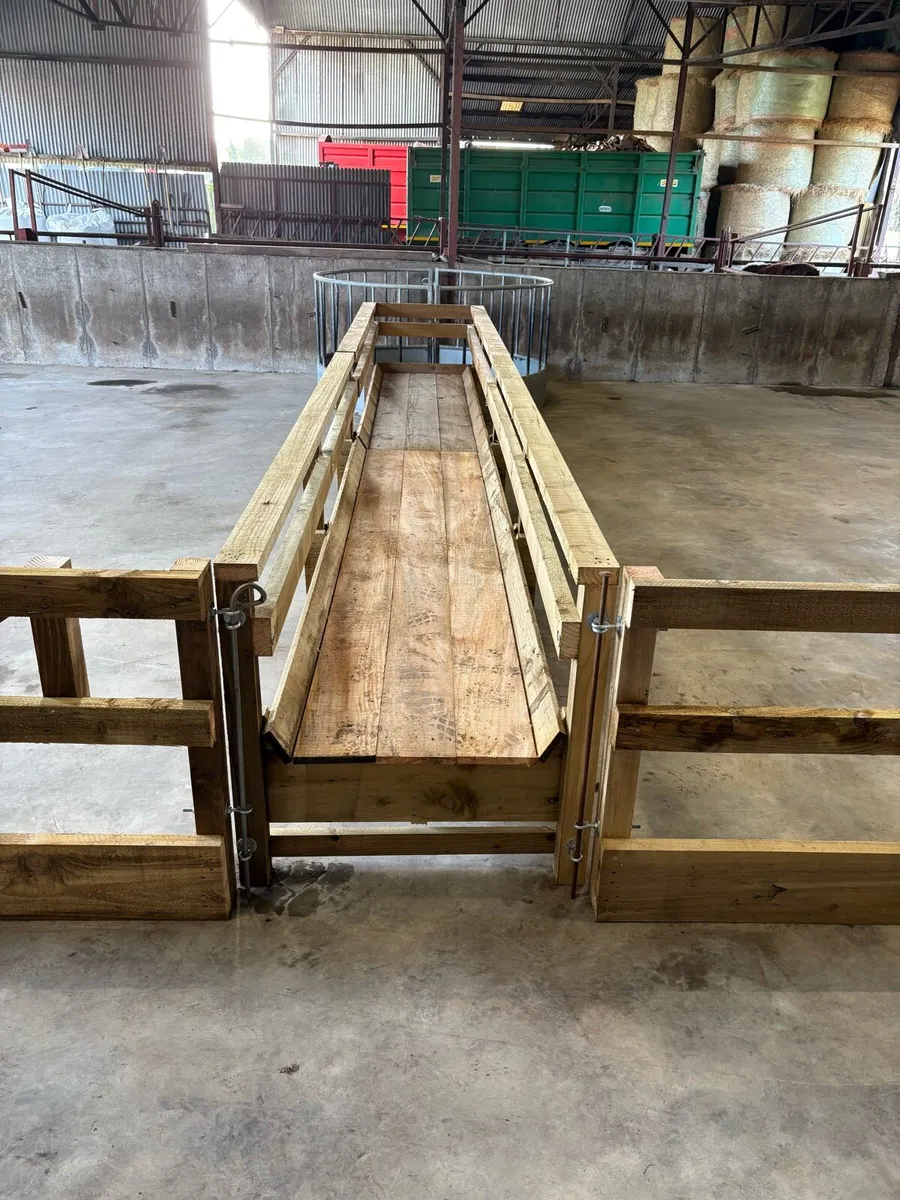 Sheep housing - Image 3