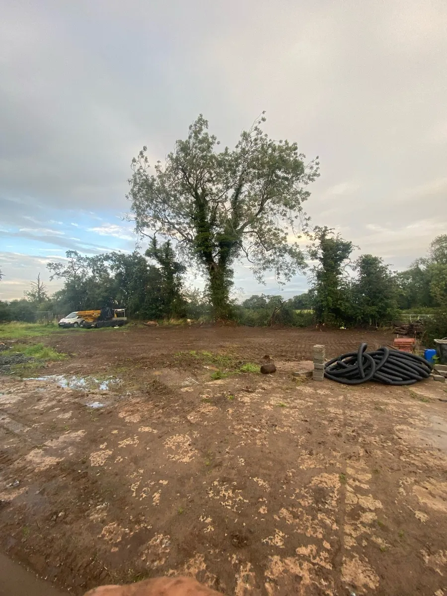 Digger and driver hire - Image 4