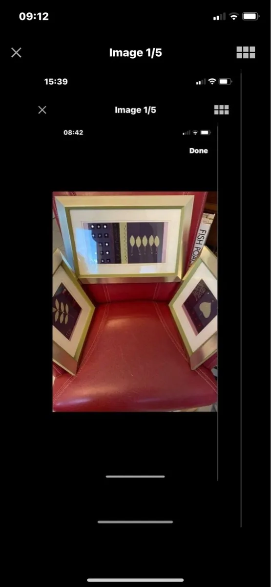 Set of Embroidered Sprig Filled Frames - Image 1