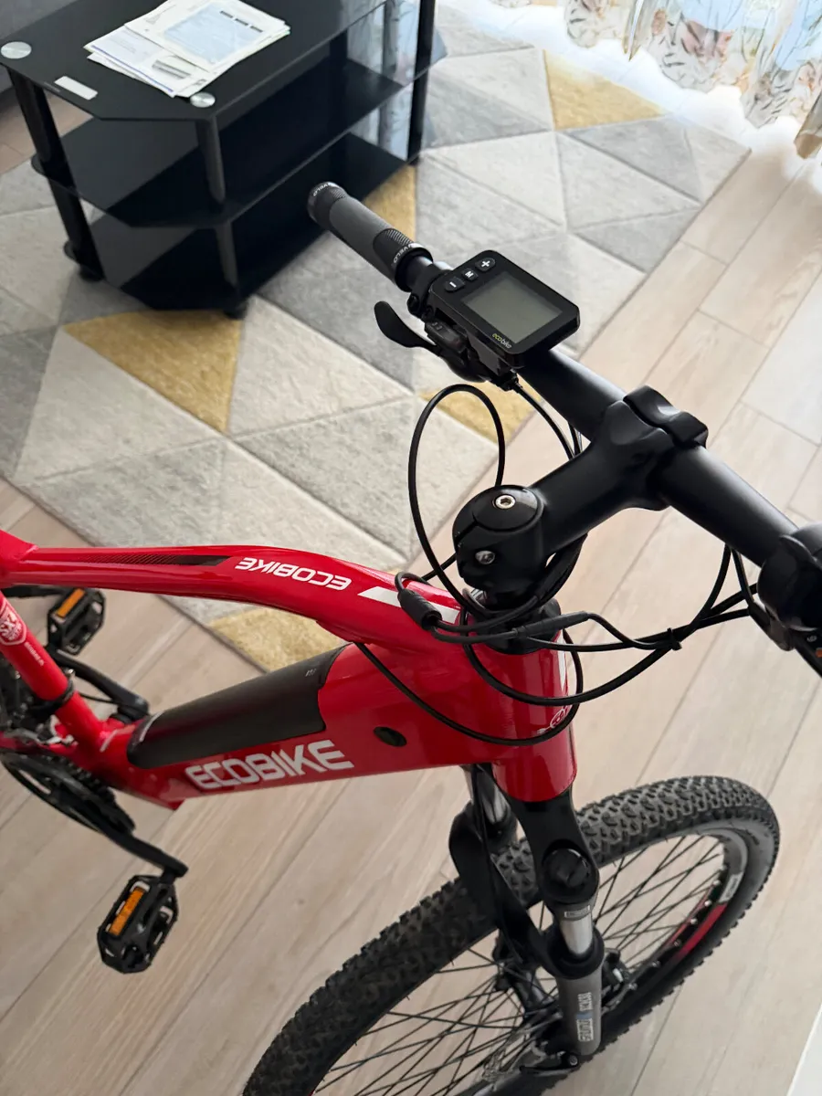 Electric bike SX4 - Image 4