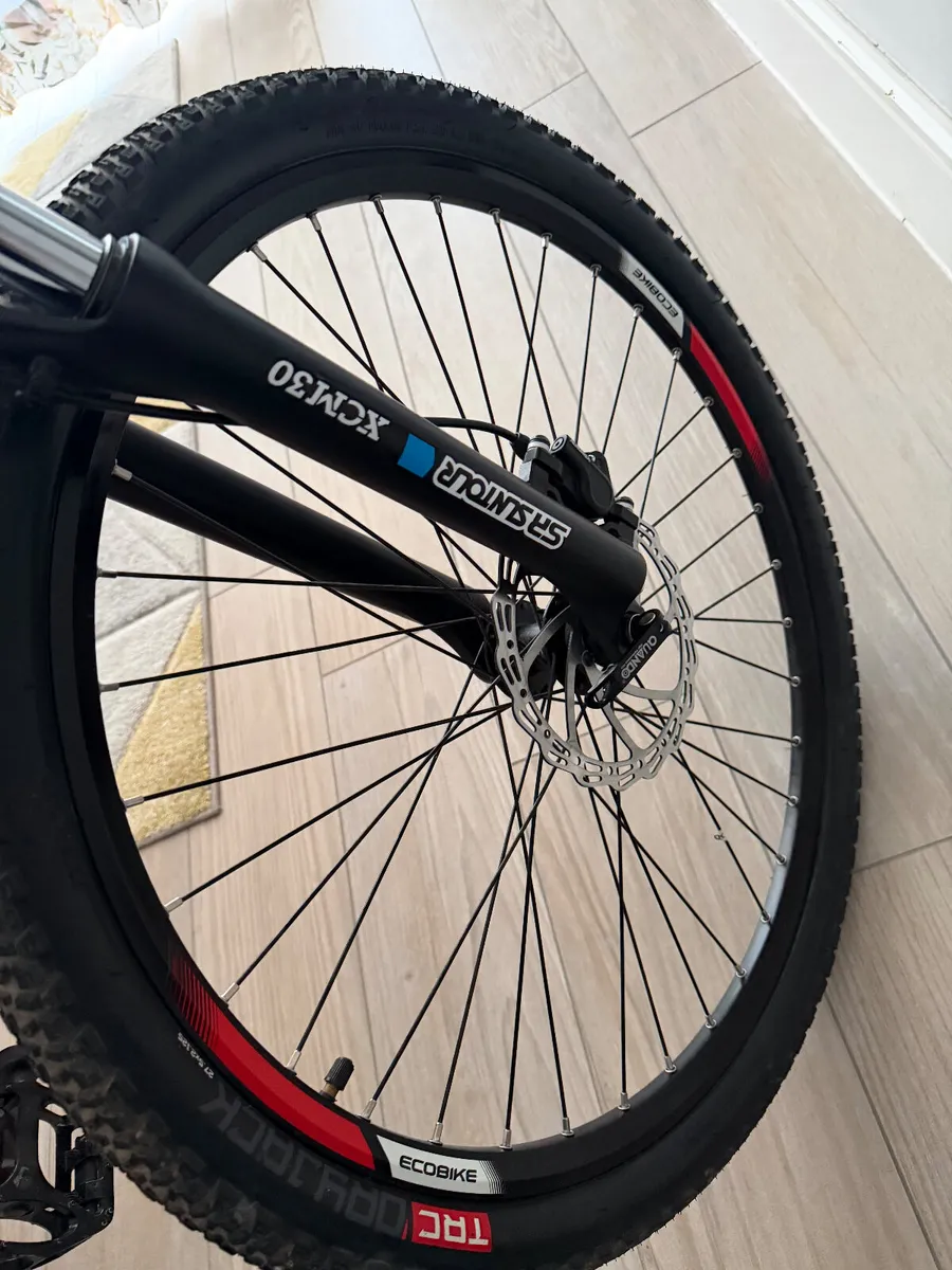 Electric bike SX4 - Image 3