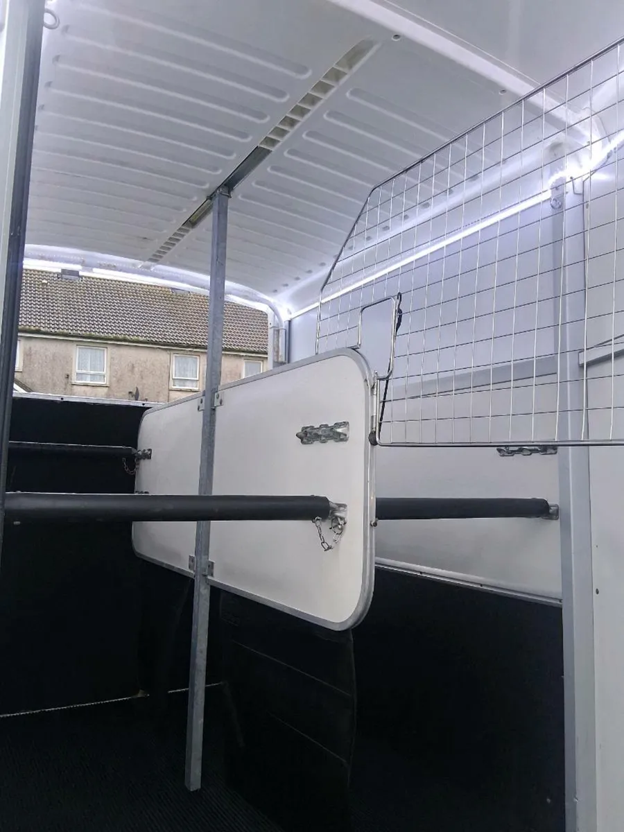 Iforwillams HB506 - Image 4