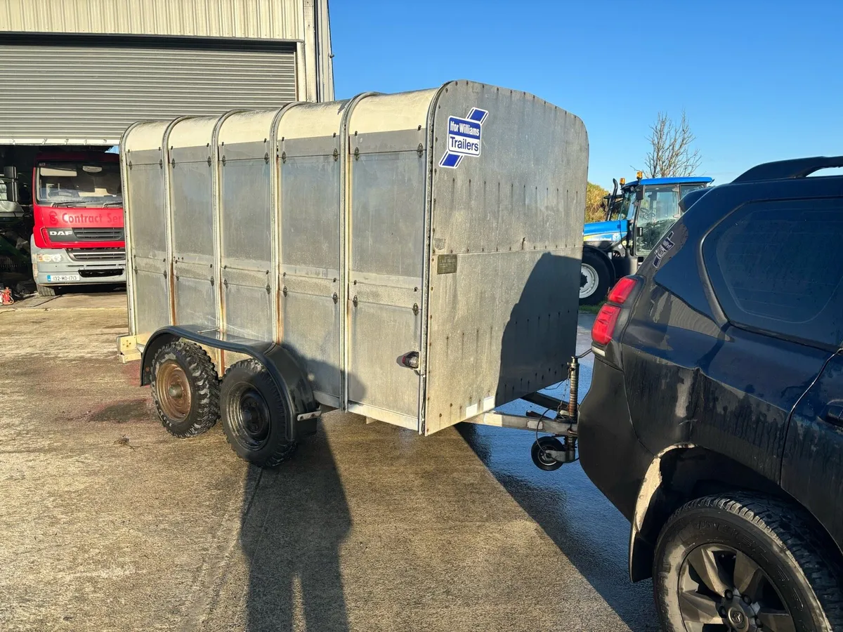 Ifor Williams 10x6 Choice of Two - Image 2