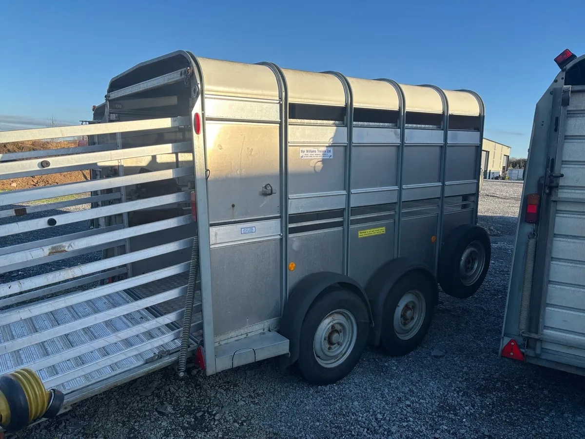 Ifor Williams 10x6 Choice of Two - Image 1