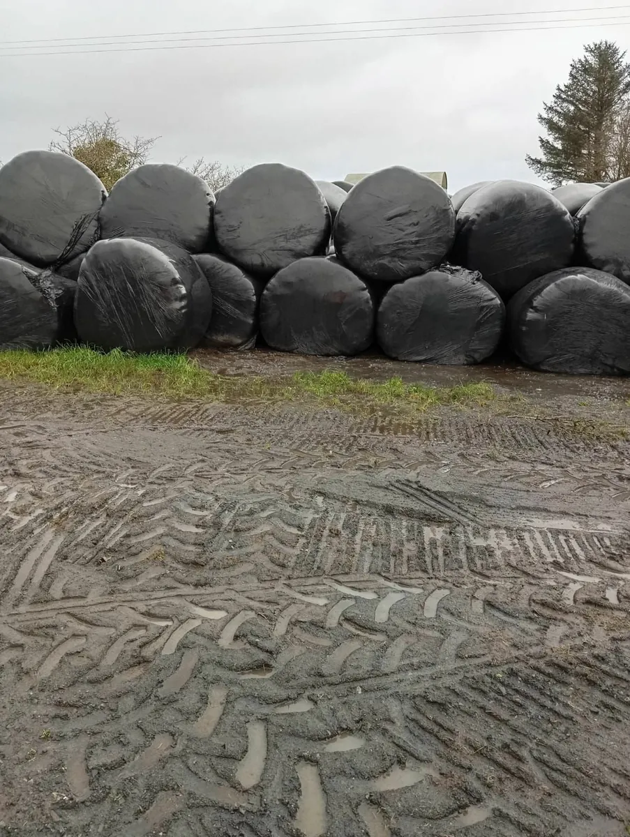 Bales of Silage - Image 2