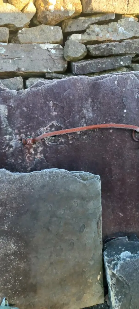 Flag cow stalls - Image 1