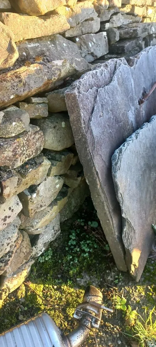 Flag cow stalls - Image 2